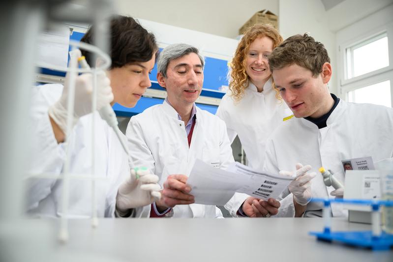 Die Medizinstudierenden Luise Schäfer (l.) und Luca Huth (r.) untersuchen im Universitätsklinikum Würzburg mit Martina Prelog und Giovanni Almanzar die zelluläre Immunabwehr und Antikörperantworten von Hochrisikopatientinnen und -patienten.