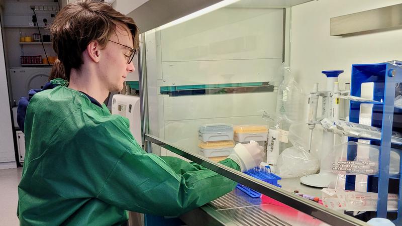 Leon Cords, co-author of the study, analysing tissue samples.