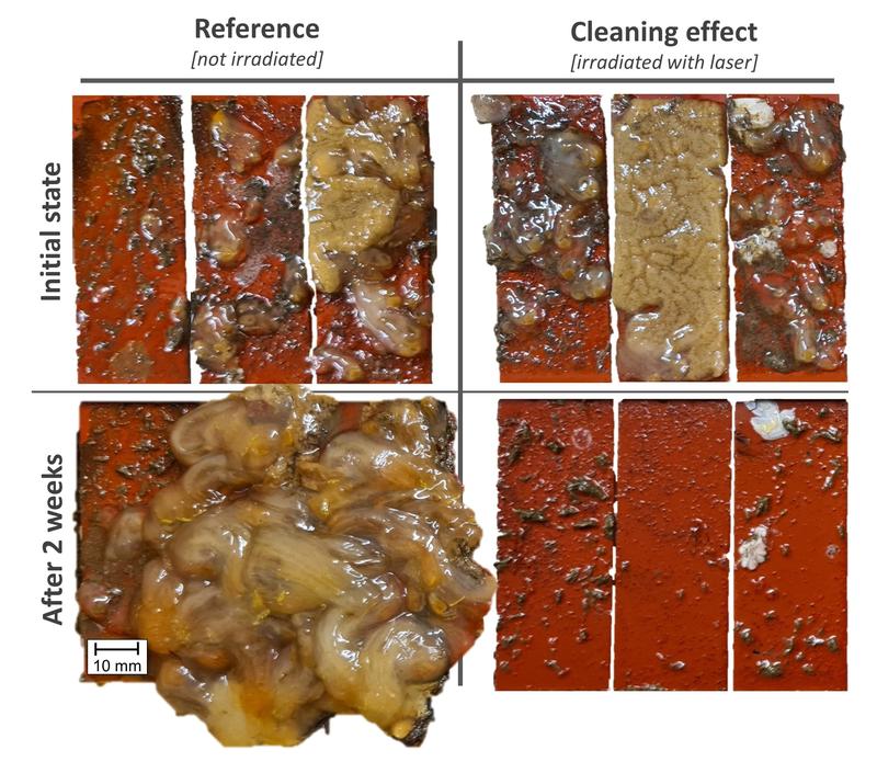 Results of the samples irradiated with the laser and those not irradiated.