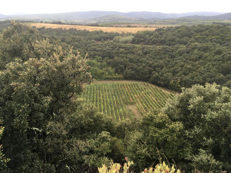 . Das „Trou du Météore“: Der Krater auf dem Weingut „Domaine du Météore“ stammt wirklich von einem Meteoriteneinschlag.