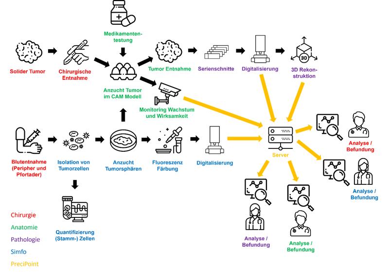 Workflow der Analysen, der die Zusammenarbeit der beteiligten Partner darstellt. Die farbliche Bezeichnung der einzelnen Workflows entspricht dem ausführenden Partner. Links im Bild ist der Farbschlüssel des jeweiligen Partners dargestellt. 
