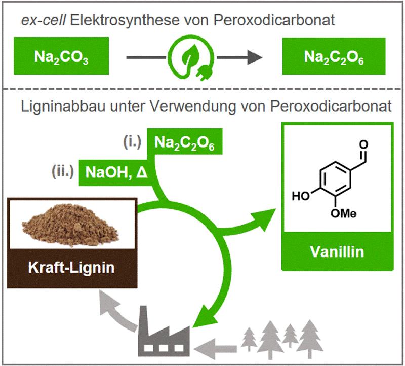 Aus Kraft-Lignin wird Vanillin