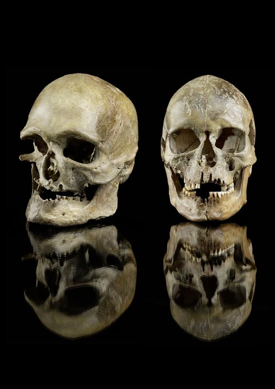 Der älteste Beweis für die Wanderbewegung während der Klimaerwärmung:  Schädel eines Mannes und einer Frau, die vor rund 14.000 Jahren in Westdeutschland (Oberkassel) bestattet wurden. Genetisch stammen sie aus dem Süden. 