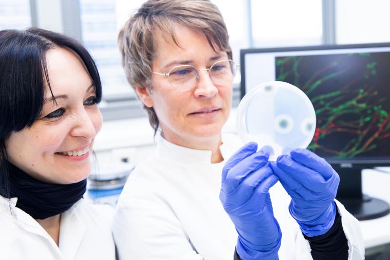 Keeping an eye on the Aspergillus biofilm: Professor Dr. Françoise Routier (right) and her research assistant Patricia Zarnovican.