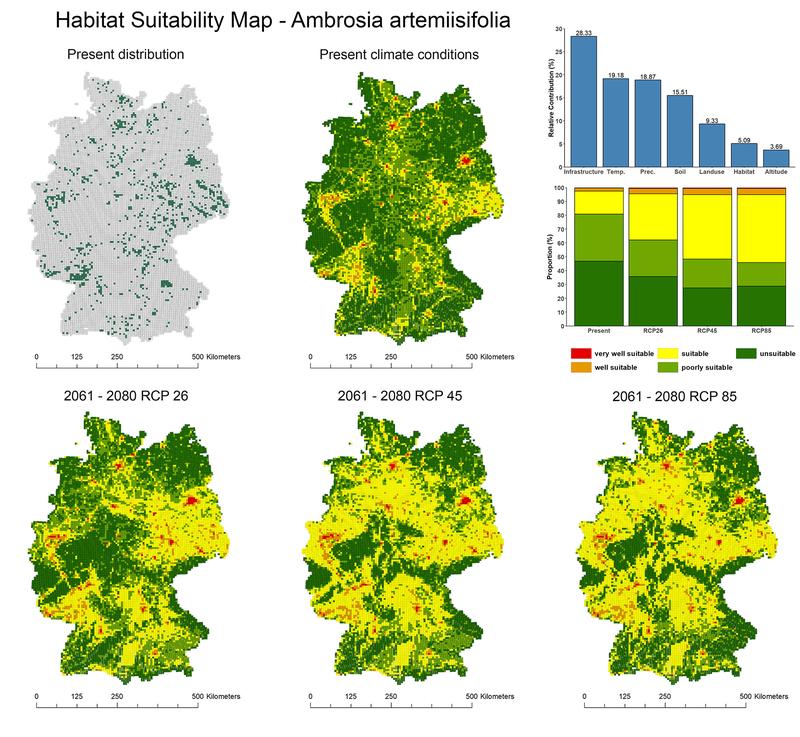 Forecast spread of ragweed in Germany under current and future climate conditions. 