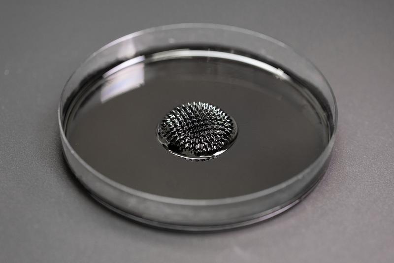 Ein charakteristischer Effekt von Ferrofluiden: der Rosensweigeffekt. Dabei sorgen starke Magnetfelder für die Ausbildung von flüssigen Stacheln, welche Magnetfeldlinien folgen. 