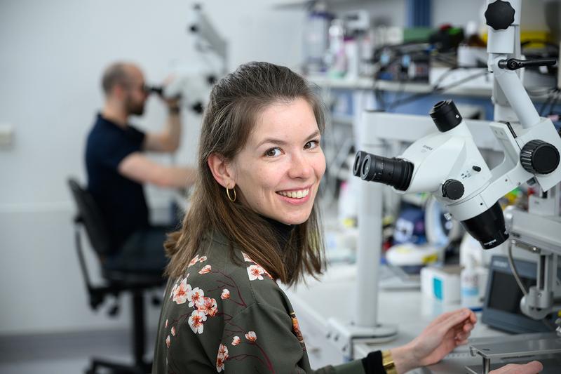  Nina Schukraft konnte gemeinsam mit Kolleginnen und Kollegen aus dem Defense Circuits Lab des UKW bestimmte Nervenzellen im Mittelhirn identifizieren, die für die Generierung einer typischen Angstreaktion in Mäusen verantwortlich sind