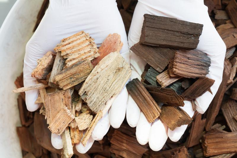 Beechwood chips torrefied with superheated steam (right) have an increased calorific value compared to untreated chips (left) and moreover are hydrophobic.