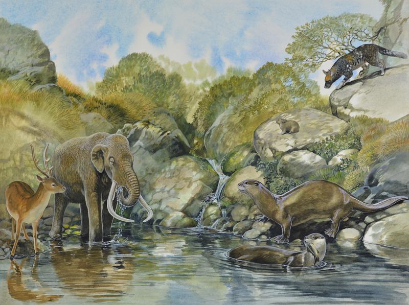 Illustration of Sardinian Dwarf Mammoth, Sardinian Giant Otter, Deer, Sardinian Dhole and Giant Pica