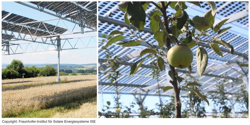 Beispiele für Agri-Photovoltaik