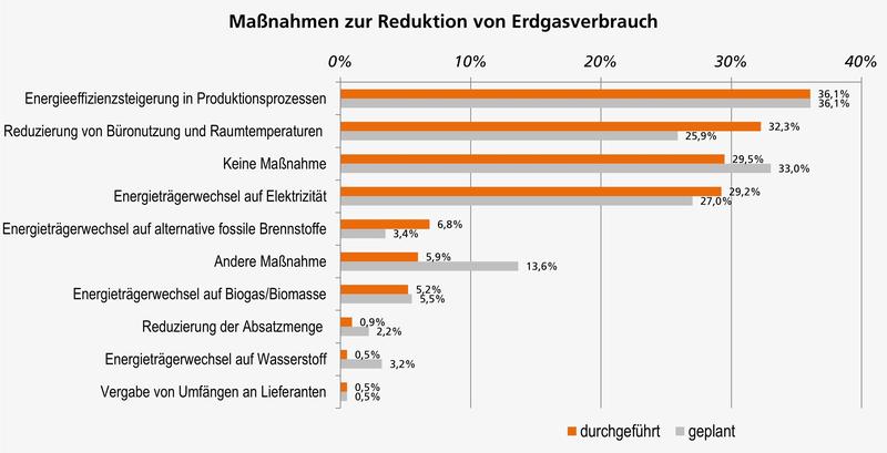 Hohe Gaspreise und unsichere Versorgung. Wo liegt der Ausweg? (Anzahl befragter Unternehmen: 787)