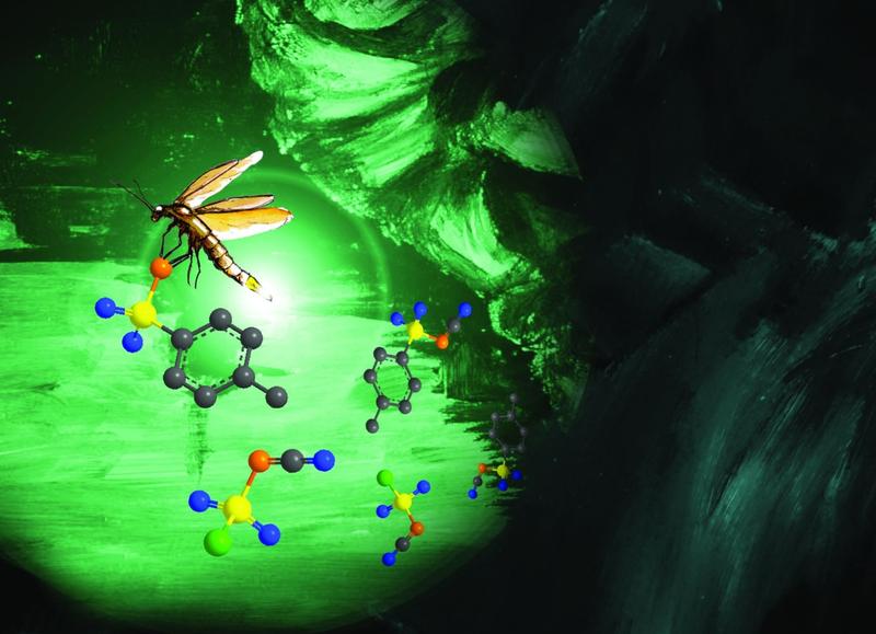 Coverbild von Chemical Science: Das Glühwürmchen, das die Klasse der Phosphole repräsentiert, verstärkt sein Leuchten durch die Modifizierung. 