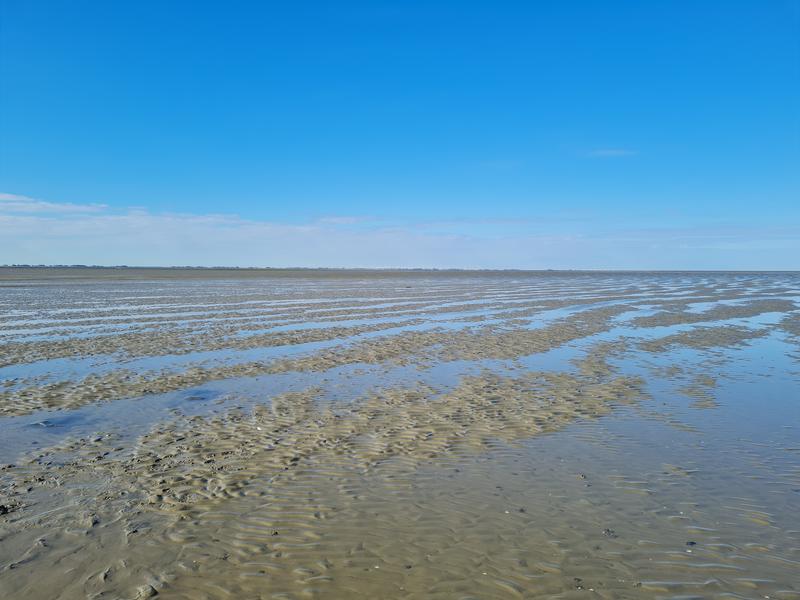 Janssand bei Ebbe. Das Untersuchungsgebiet der vorliegenden Studie liegt im Deutschen Wattenmeer zwischen der Insel Spiekeroog und dem Festland. 