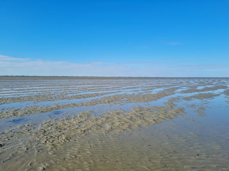 The study location, Janssand, at low tide. The tidal sand flat is located in the German Wadden Sea between the island of Spiekeroog and the mainland. 