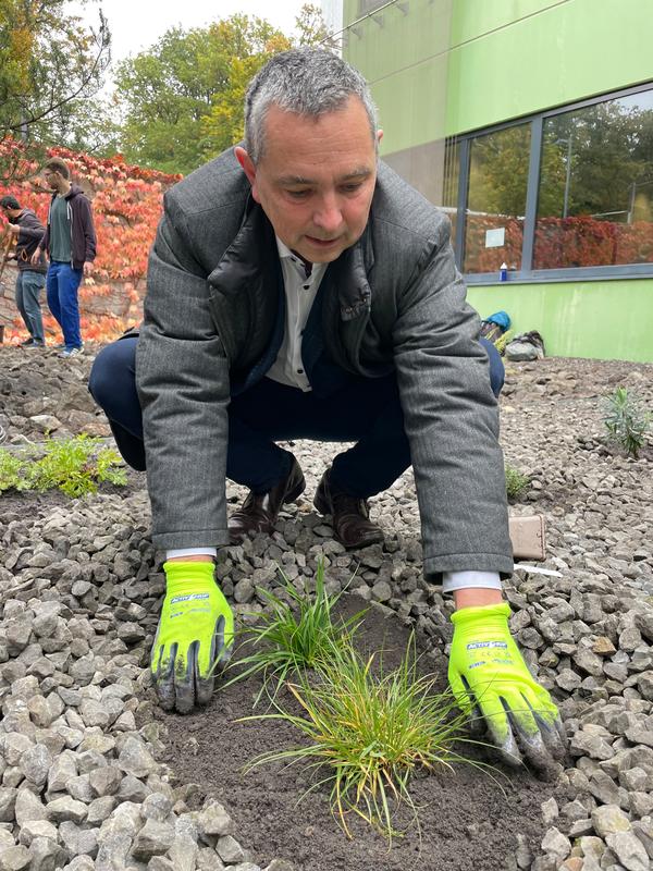 Vizepräsident Prof. Michael Kühl, zuständig für Nachhaltigkeit und Klimaschutz, hilft bei der Begrünungsaktion an der Uni Ulm