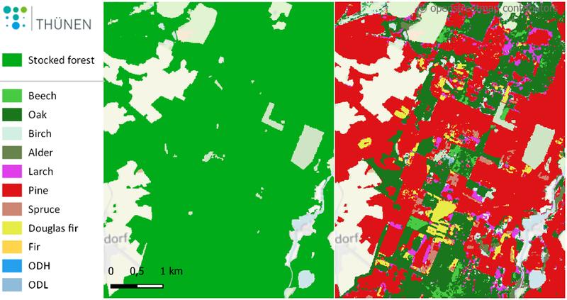 Map details on the stocked forest area (l.) and on the dominant tree species (r.) with an overview of the mapped tree species groups.  ODH and ODL summarize other deciduous tree species with high or low life expectancy respectively.
