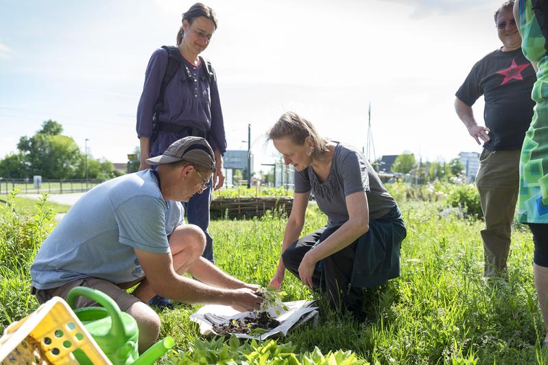 Bildunterschrift: Forschende und Studierende des KIT erarbeiten gemeinsam mit Bürgerinnen und Bürgern Lösungsvorschläge für ein nachhaltigeres Leben und Arbeiten. (Foto: Markus Breig, KIT)