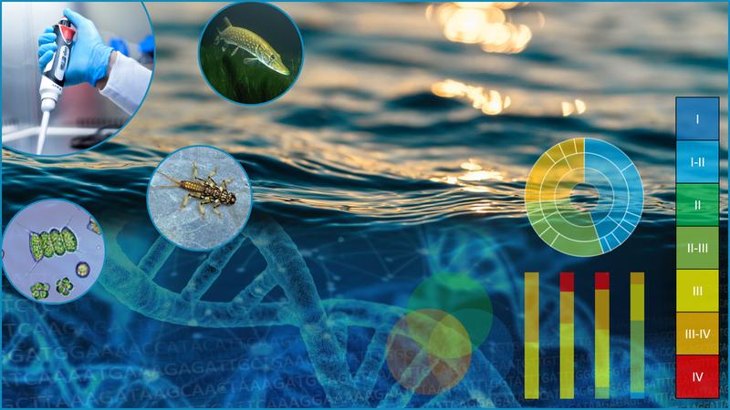 Umwelt-DNA in Gewässern zur taxonomischen Analyse, Erfassung der Biodiversität und ökologischen Bewertung.