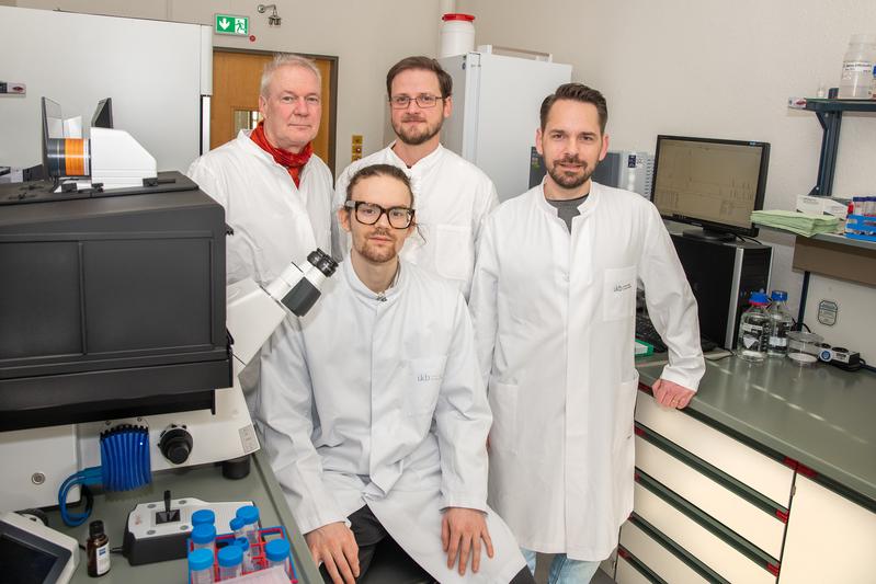 von l. n. r.) Prof. Ulrich Kubitscheck, Jan-Samuel Puls (vorne), Dominik Brajtenbach und Dr. Fabian Grein fanden heraus, dass eine funktionierende Peptidoglykan-Synthese, eine Kernkomponente der Zellwand, essentiell für die Zellteilung ist.