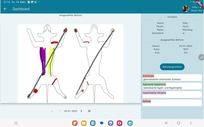 Ein Blick in den App-Prototyp: Auf einer digitalen „Body Map“ des Tieres können per Stift oder Touch die Befunde am Körper genau eingezeichnet werden, etwa Schmerzen.