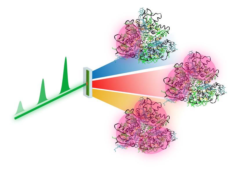 In the new method, laser pulses of different power (green) are combined in such a way that single excitation (blue), double excitation (red) and triple excitation (yellow) can be distinguished, for example, in biological light-harvesting complexes.