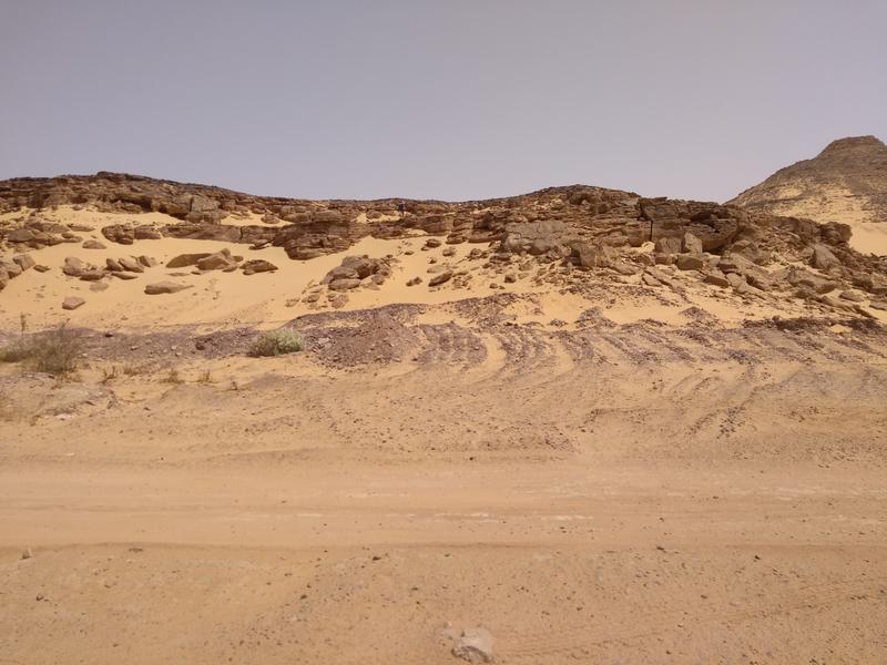 Geologischer Aufschluss im Sudan, der in der Zusammensetzung der fossilen Flora der untersuchten südägyptischen Quseir-Formation ähnelt.