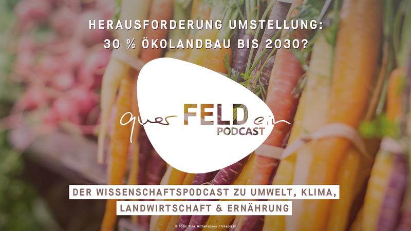In der neuen Podcast-Folge geht es um die Herausforderungen bei der Umstellung auf 30 Prozent Ökolandbau bis 2030 in Deutschland.