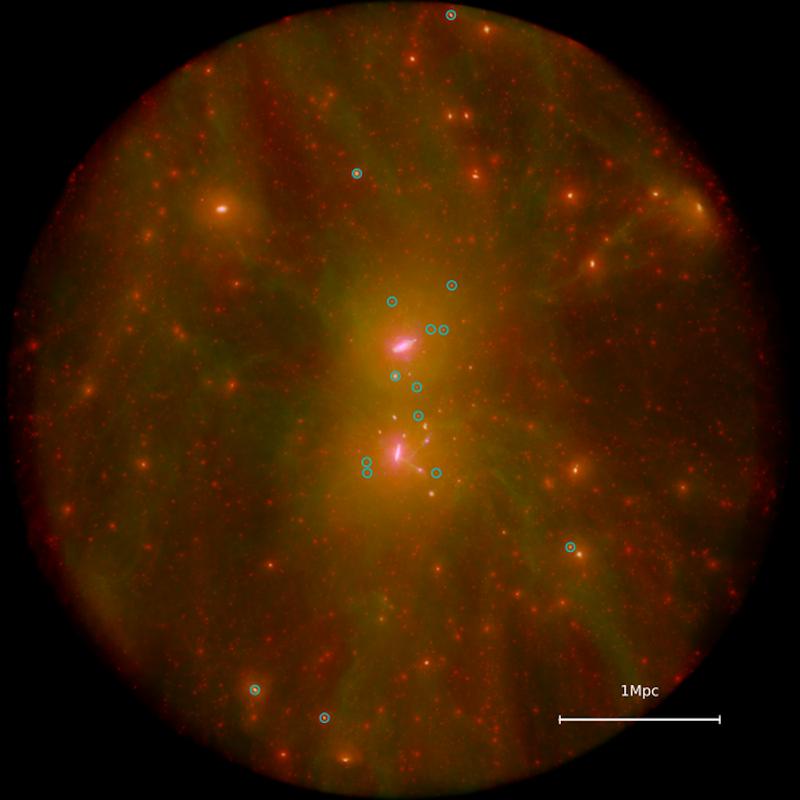 Dunkle Materie (rot), Gas (grün) und Sterne (weiß) in einer HESTIA-Simulation der Lokalen Gruppe. Die simulierten Gegenstücke von Milchstraße und Andromeda befinden sich in der Nähe der Bildmitte, und die ultra-diffusen Galaxien sind mit Kreisen markiert.