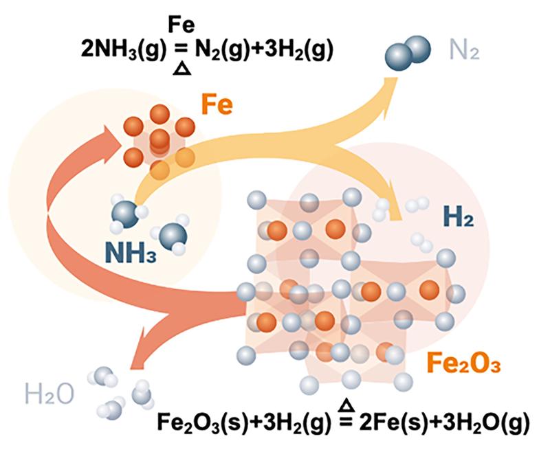 Autocatalytic reduction of iron oxide by hydrogen released from ammonia cracking during the direct reduction process
