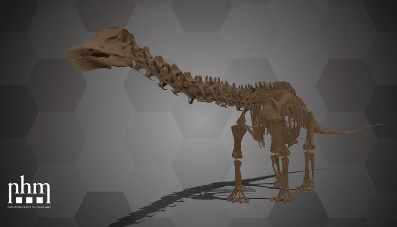 Ein 3D-Modell des 27 Meter langen Diplodocus Skeletts ist nun frei zugänglich im 3D-Museum des NHM Wien