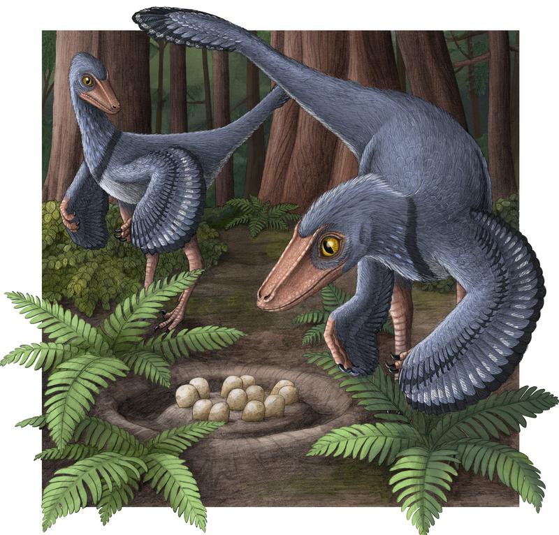 Artist’s impression of two Troodons with a common nest.