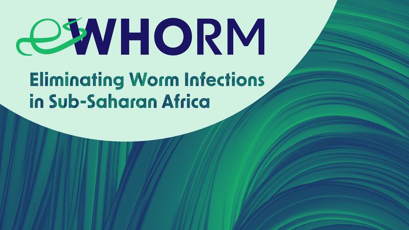 The collaborative project "eWHORM—enabling the WHO Road Map", launched in April, aims to make important contributions to implementing the World Health Organisation's (WHO) Roadmap for Neglected Tropical Diseases (NTDs) and eliminating worm infections.