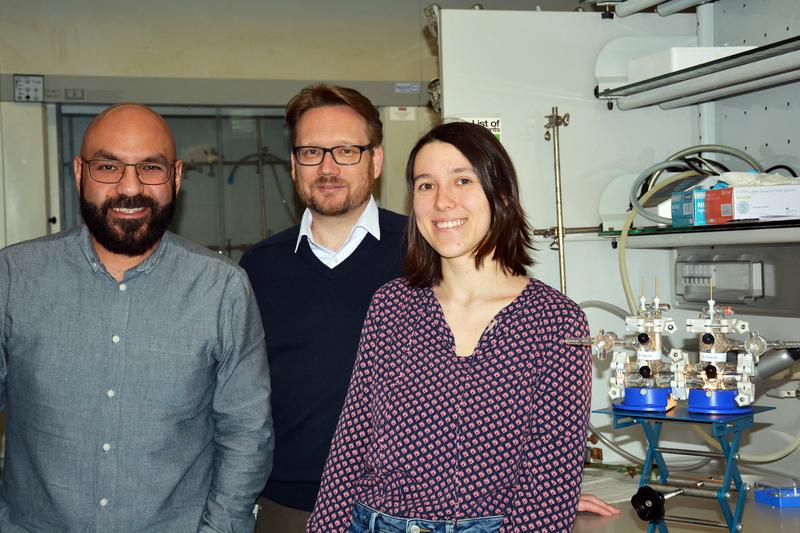 Dogukan Apaydin, Dominik Eder, Hannah Rabl, elektrochemische Zelle (von links) 