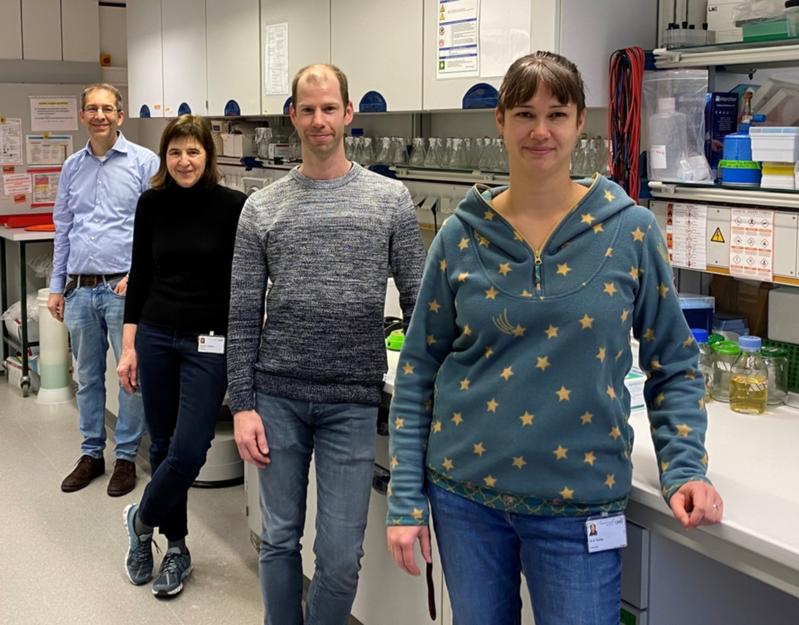 Erst- und Senior-Autor*innen der Publikation: (v. l). Dr. Stefan Nessler (Institut für Neuropathologie), Prof. Dr. Jutta Gärtner, Dr. Matthias Kettwig und Dr. Katharina Ternka (alle Klinik für Kinder- und Jugendmedizin), Universitätsmedizin Göttingen 
