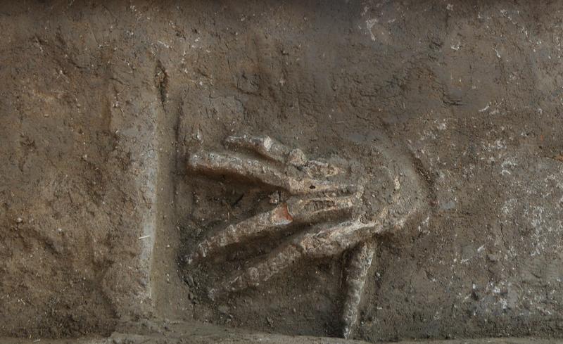 Abgehackte Hand mit gespreizten Fingern und Handfläche nach unten während der Ausgrabung 