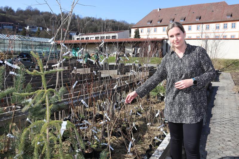 Prof. Dr. Susanne Jochner-Oette begutachtet Pflanzen, die an das Netzwerk der Internationalen Phänologischen Gärten versandt werden.