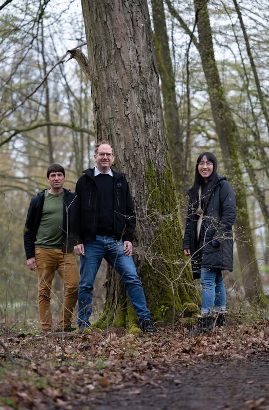 Prof. Dr. Stefan Kalkhof, Prof. Dr. Matthias Noll, und Benjawan Tanunchai; Dr. Olaf Schröder ist gerade unterwegs.