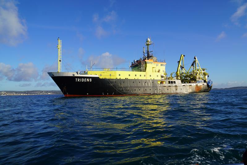 Das niederländische Fischereiforschungsschiff „Tridens“, mit dem die Forschenden um Bram Couperus die „Blauer-Wittling-Erhebung“ durchführen. Dabei wurde die neue Fischart Microichthys grandis entdeckt.
