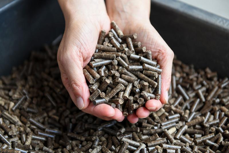 Pellets aus Paludi-Biomasse wurden am TFZ für die Eignung in häuslichen Feuerungen untersucht. 