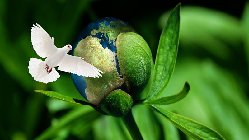 Friedenssicherung durch Klimaschutz: Zum Jubiläum 375 Jahre Westfälischer Friedens geht es bei einem internationalen Kongress der Deutschen Bundesstiftung Umwelt (DBU) darum, wie Natur und Ressourcen als Friedensgrundlage zu bewahren sind.