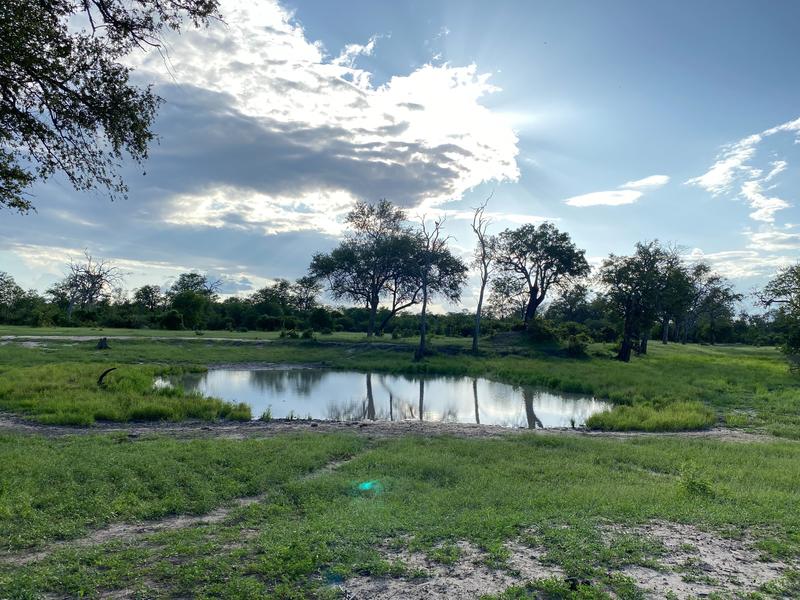 Ein saisonal mit Wasser gefüllter Tümpel im Gonarezhou-Nationalpark, in dem Türkise Prachtgrundkärpflinge (Nothobranchius furzeri, Killifisch) vorkommen.