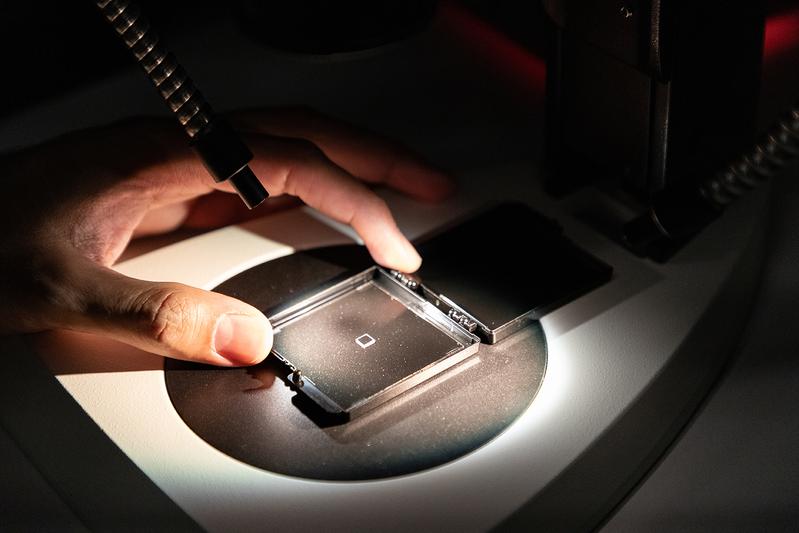 A diamond chip with quantum sensors at the LENA research centre in Braunschweig.