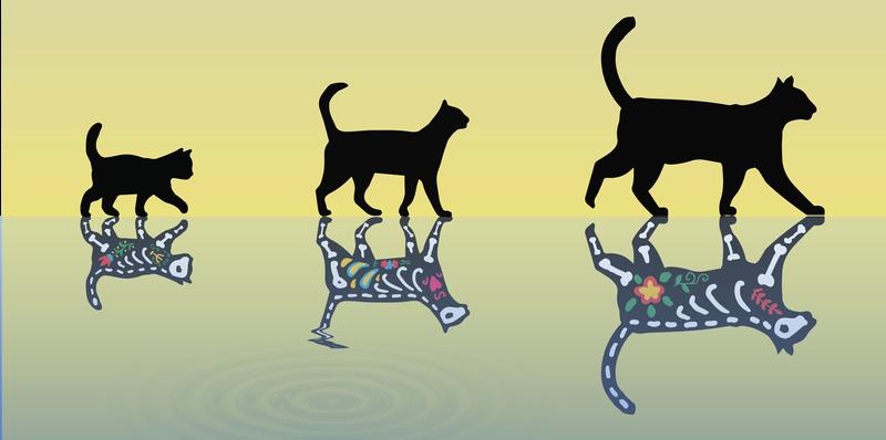 Forschende der ETH Zürich haben Fortschritte bei der Herstellung schwererer Schrödinger-​Katzen gemacht, die gleichzeitig lebendig (oben) und tot (unten) sein können. 