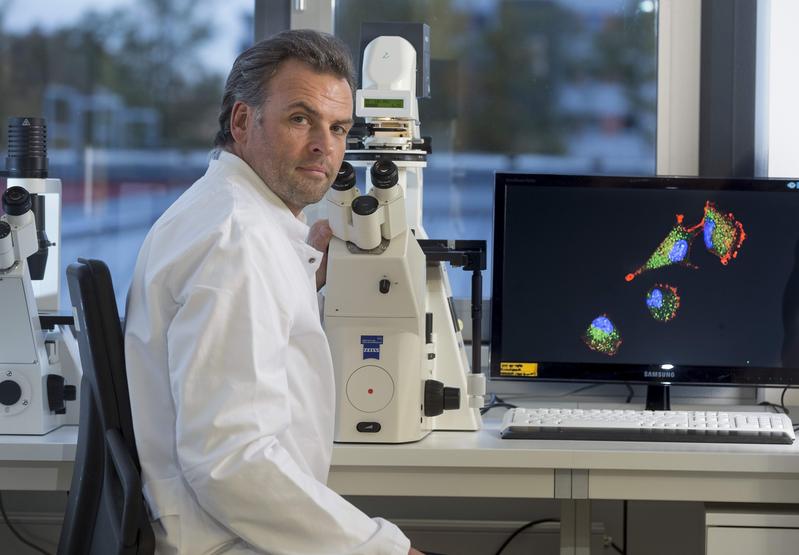  	Prof. Nils Cordes, Leiter des Bereichs Strahlenbiologie am OncoRay, erforscht die biologischen Zelleigenschaften des Glioblastoms. 