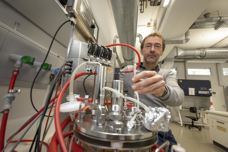Bernd Nidetzky und seinem Team ist die Biokatalyse von Pseudouridin gelungen