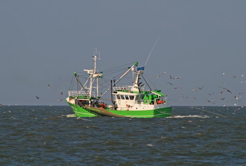Krabbenkutter mit ausgefahrenen Baumkurren im Wattenmeer