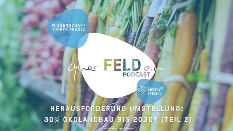 Neue Folge des querFELDein-Podcast: Herausforderung Umstellung - 30% Ökolandbau bis 2030? (Teil 2)