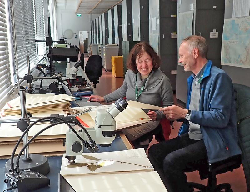 Prof. Dr. Sigrid Liede-Schumann und Dr. Ulrich Meve im Herbarium des Royal Botanic Garden Edinburgh.