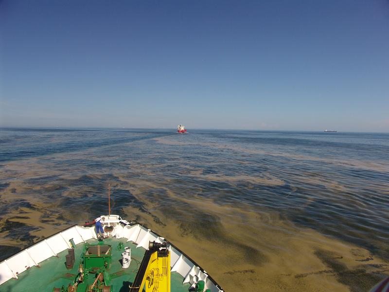 Forscher sammeln Daten. Auf deren Grundlage können sie den Zustand der Ostsee beschreiben. Foto: IOW/ Birgit Sandkowiak