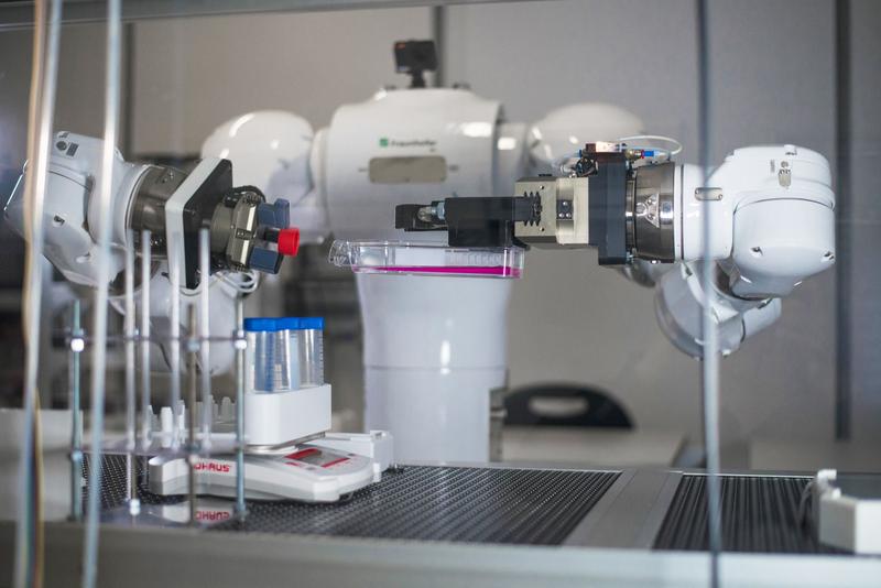 Gewebemodelle auf Basis menschlicher Zellen für das sichere Testen von Wirkstoffen werden automatisiert kultiviert – ein wichtiger Schritt für die Vermeidung von Tierversuchen 